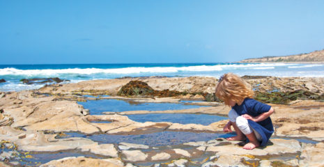 Tide Pools