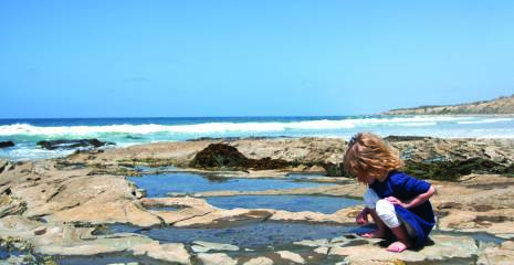 A Guide to Tidepool Treasures